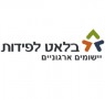 בלאט לפידות יישומים ארגוניים