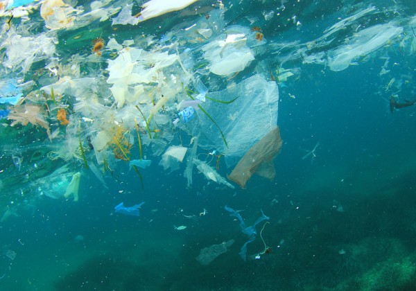 פלסטיק - זיהום ימי מסוכן. אילוסטרציה: BigStock