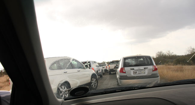  קצב ובנו נתקלו בפקק גדול ומייד הבינו שצפוי להם משהו מיוחד. ואכן, מהר מאד התברר שזו אחת מחמש החיות הגדולות