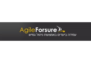 Agile Forsure