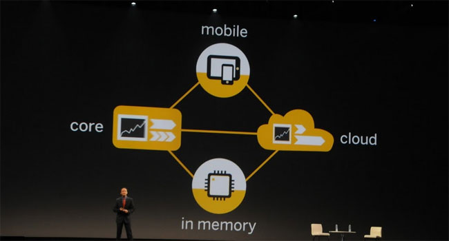 השנה המוטו השיווקי-מיצובי הוא ארבעת הצירים של סאפ: עסקי הליבה, המוביליטי, הענן ו-HANA. מי זוכר מה היה בשנה שעברה?