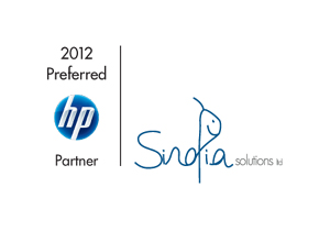 סינופיה פתרונות