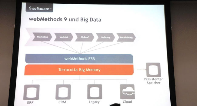 שכבת ESB, ערוץ השירותים האינטגרטיבי הארגוני webMethods 9.0, הראשון שמתממשק עם כל תשתיות המיחשוב בענן ובמתקן, דרך ממשק עם Terracotta Big Memory. צילום: פלי הנמר