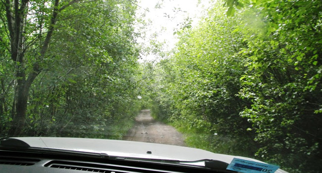 בדרך חתחתים, תלולה, דו-סטרית וצרה ביותר. עיניכן הרואות. ויש שעולים ברגל...