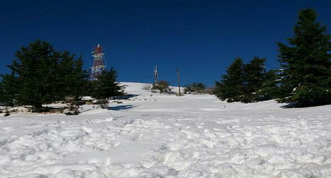גשם או שלג, הטכנאים הגיעו לכל מקום...