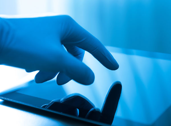 מתחילים לייצר את הדור הבא. קרדיט צילום: Bigstock