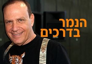 הנמר בדרכים