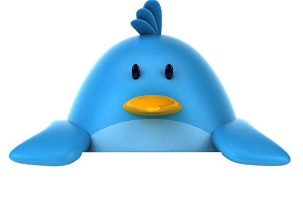 בוט זה הציוץ החדש. קרדיט איור: Bigstock