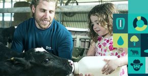 מה הפרה מבינה? צילום מסך מתוך אתר SCR