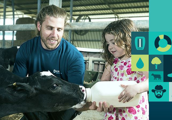 מה הפרה מבינה? צילום מסך מתוך אתר SCR