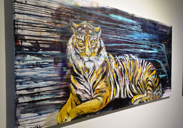 הטיגריס הצבעוני החדש