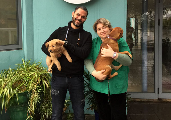 ד"ר ילנה אלגרבלי, וטרינרית באגודת צער בעלי חיים ישראל, ואסף בר, מנכ"ל איטרניטי, עם שניים מהידידים הטובים ביותר של האדם