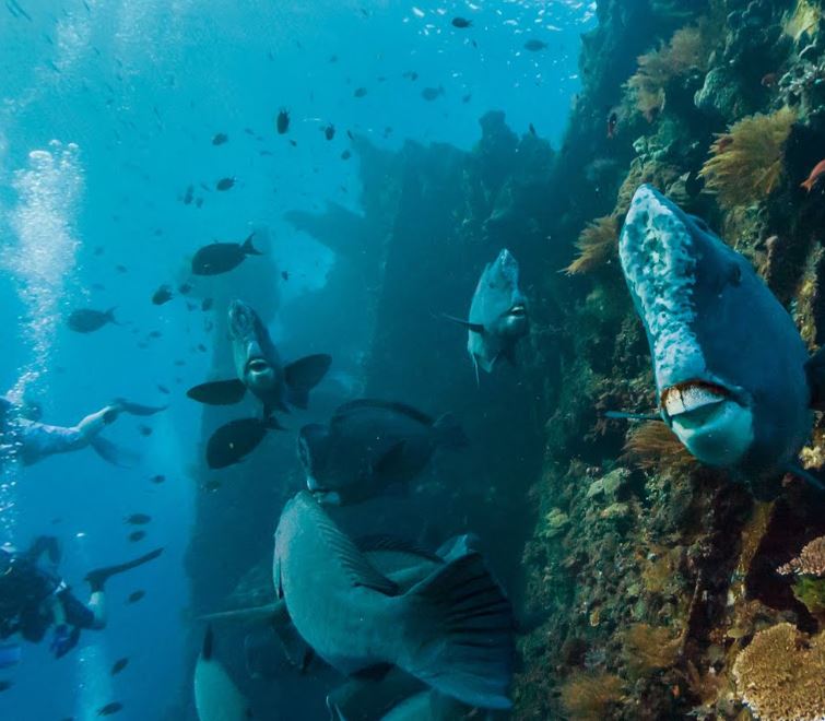 הכחול הגדול. מתוך Street View