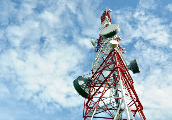 רפורמת השוק הסיטונאי: שלב ב' כבר כאן. צילום אילוסטרציה: BigStock