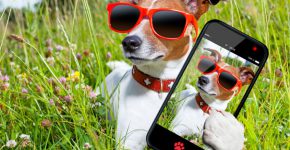 להשתדרג עוד לפני הצילום. צילום: BigStock