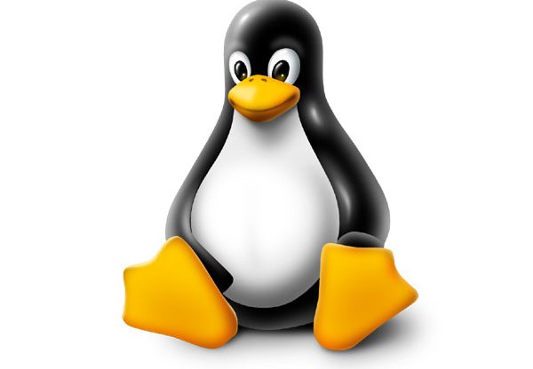 נוזקה חדשה שתוקפת מערכות Linux