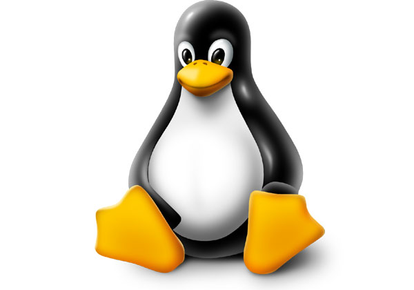 נוזקה חדשה שתוקפת מערכות Linux