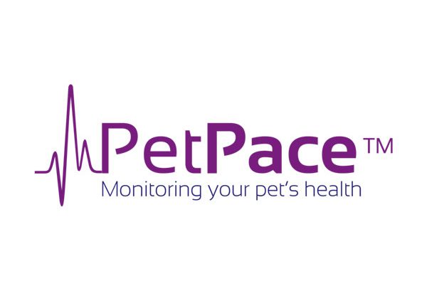 מצילים את בעלי החיים. PetPace