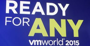 Ready for Any. צילום: פלי הנמר