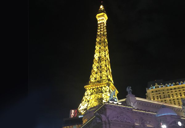 מקצוענים בווגאס. צילום: אריאל שפירא