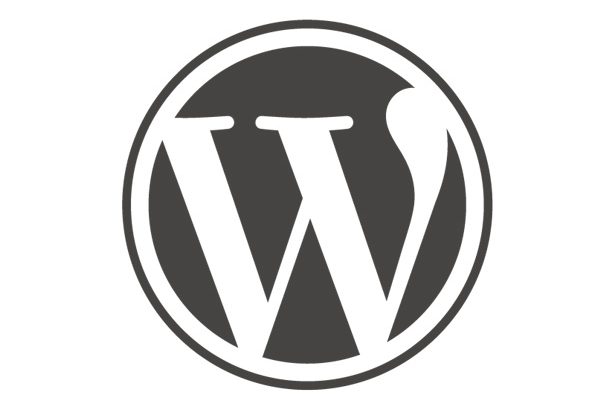 שיתוף פעולה עם גוגל לבניית Newspack - מערכת ניהול תוכן. WordPress