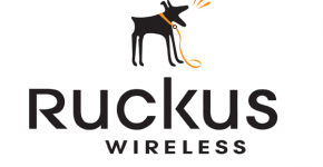 Ruckus Wireless