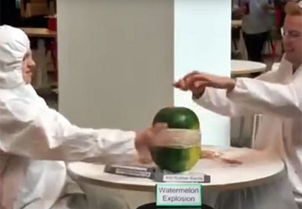 האבטיח ש-"פיצץ" את הרשת. צילום: מתוך הסרטון