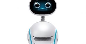 היי, זנבו. צילום: אסוס