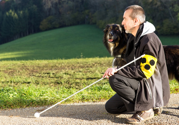 רוצים לחיות כמו כולם. צילום: BigStock