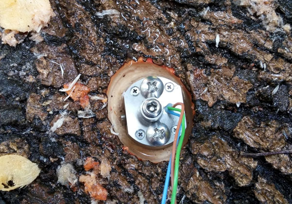 החיישן שפיתחה Saturas