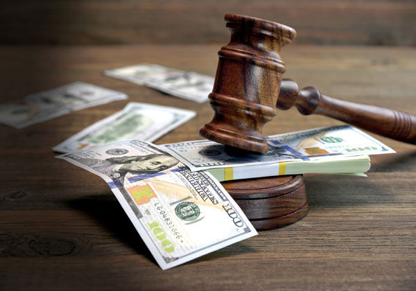 היסטוריה של הפרת תקנות. אמזון. צילום: BigStock