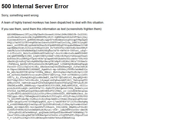 התמונה שהופיעה על המסך בזמן התקלה