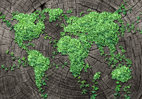 קשר בין אזרחים למשרד להגנת הסביבה. אילוסטרציה: BigStock