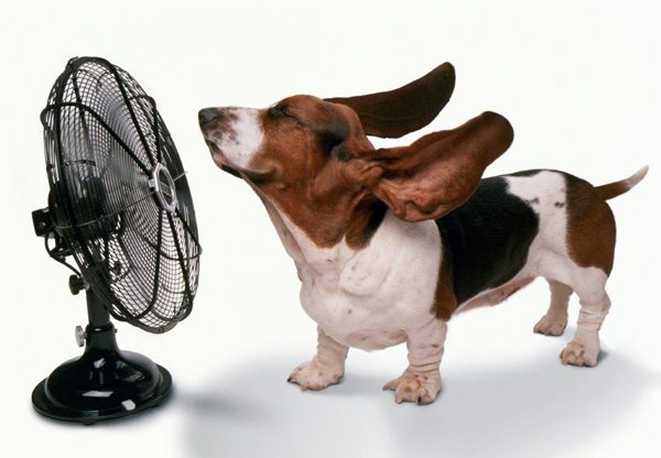 צילום: ג'.ק. הארט / ויקי הארט, Getty Images