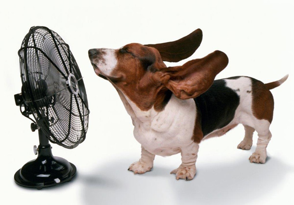 צילום: ג'.ק. הארט / ויקי הארט, Getty Images