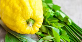 מהי שלמות? צילום: BigStock