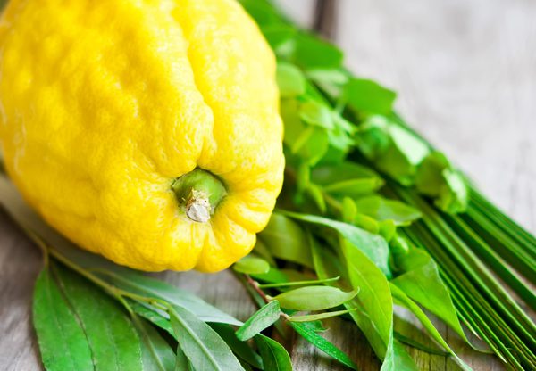 מהי שלמות? צילום: BigStock