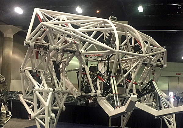 משך תשומת לב רבה. הפרותזיס. צילום: נחמה אלמוג