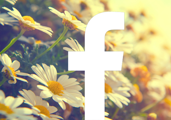 אביב הגיע, פייסבוק בא. צילום נוף: Subbotina Anna/BigStock