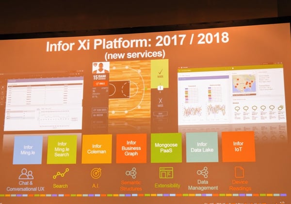 Infor XI Platform. צילום: פלי הנמר