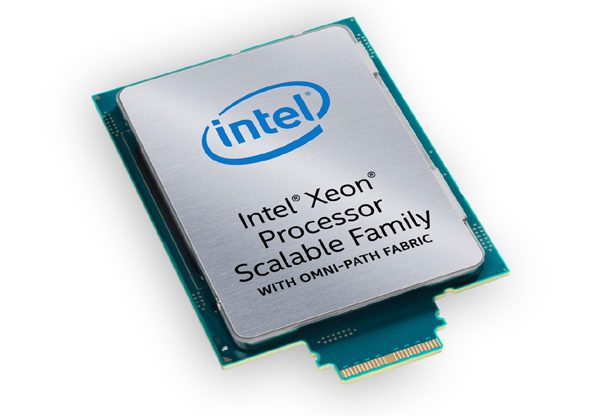 מעבדי Intel Xeon Scalable. צילום: יח"צ