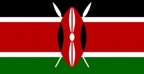 האם הבחירות זויפו - באמצעות פריצה למחשב של ועדת הבחירות המרכזית? קניה