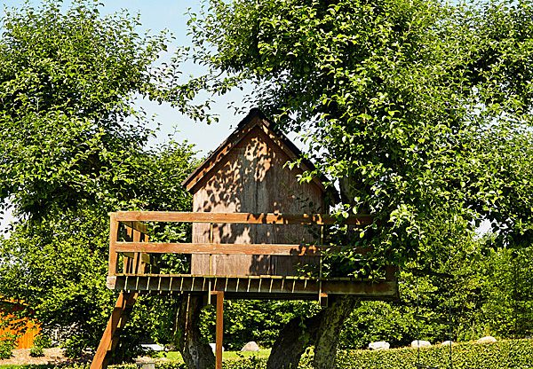 בית עץ יכול להיות גם משרד עץ. אילוסטרציה: רוני זימרי, BigStock
