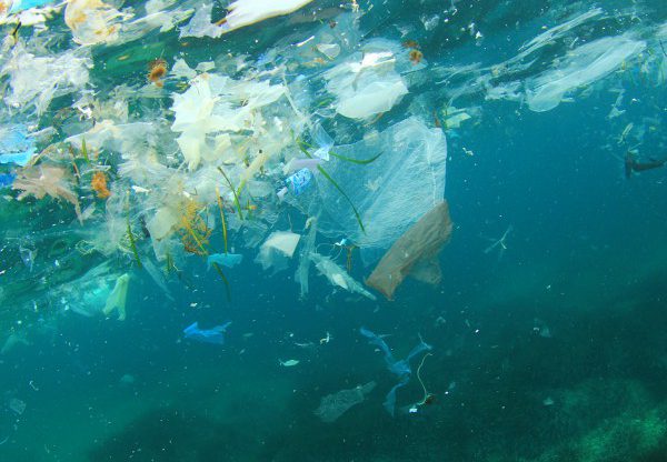 פלסטיק - זיהום ימי מסוכן. אילוסטרציה: BigStock