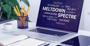 שובן של Spectre ו-Meltdown. צילום: אלכסיי בולדין, BigStock