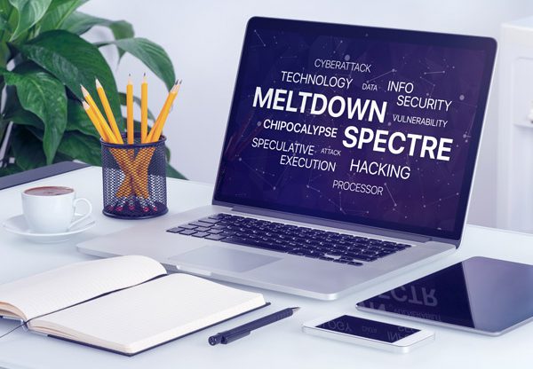 שובן של Spectre ו-Meltdown. צילום: אלכסיי בולדין, BigStock