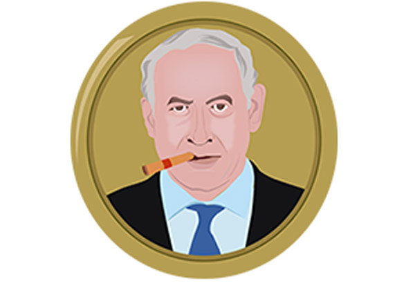 הביביקוין. מקור: מקרוביט