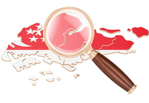 חוק פולשני מדי בסינגפור? אילוסטרציה: AlexLMX, BigStock