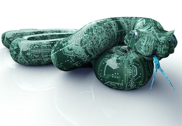 נוזקה. אילוסטרציה: the_lightwriter/BigStock