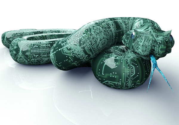 נוזקה. אילוסטרציה: the_lightwriter/BigStock